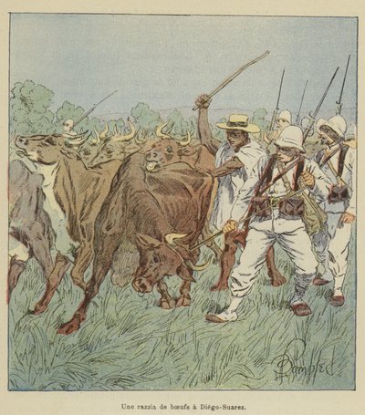Nájezd volů v Diego-Suarez od after Louis Charles Bombled