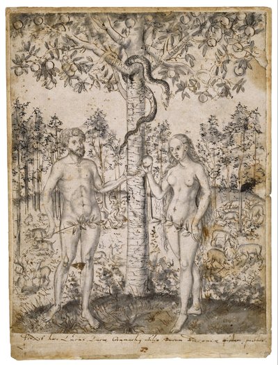 Pád člověka od after Lucas Cranach the Younger