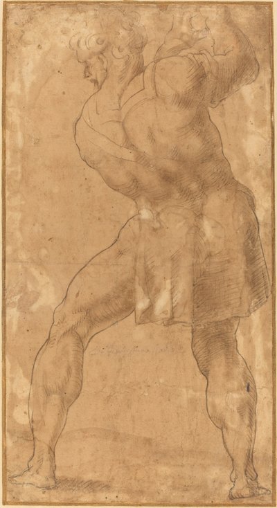 Postava muže od after Polidoro da Caravaggio