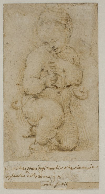 Nemluvně Jan Křtitel od after Raphael