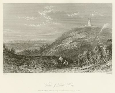 Pohled na kopec Leith Hill od after Thomas Allom