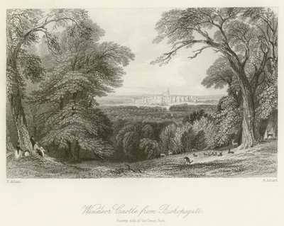 Hrad Windsor z Bishopsgate, Surreyská strana Velkého parku od after Thomas Allom