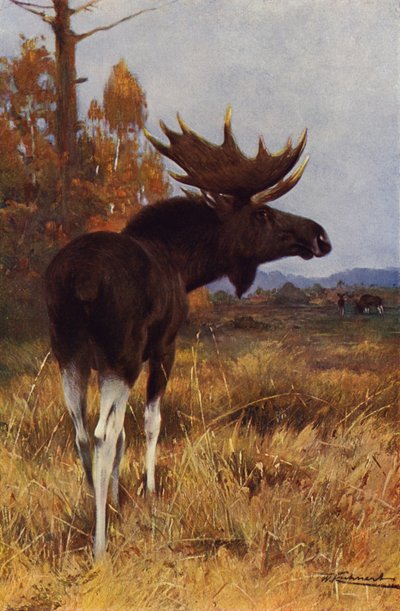 Los nebo los od after Wilhelm Kuhnert