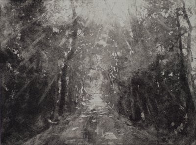 Hallelujah II, 2017, lept a akvatinta na papíře od angus hampel