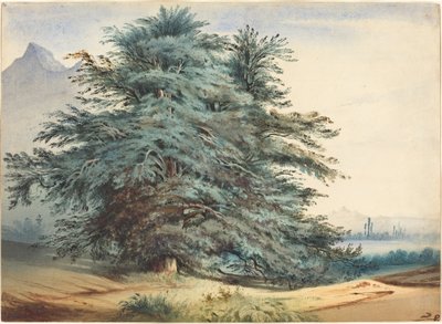 Dva starověké stromy před vrcholem hory od attributed to Jules Dupré