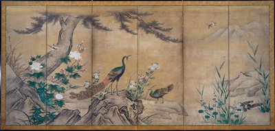 Ptáci a květiny od attributed to Kano Mitsunobu