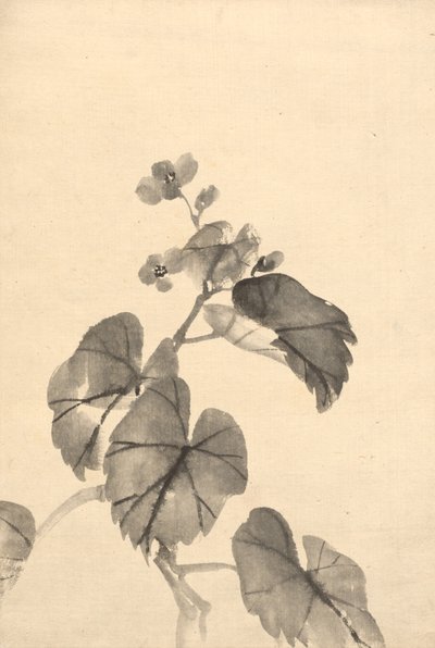 Pobočka Begonia v květu od attributed to Kono Bairei