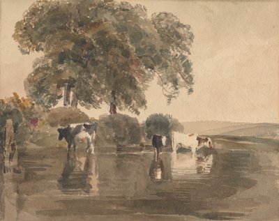 Krávy v bazénu od attributed to Peter DeWint