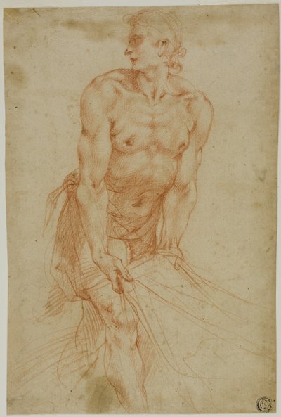 Muž tahá za prostěradlo: [Sakristie Certosa di San Martino, Neapol, 1596] od called Cavaliere d
