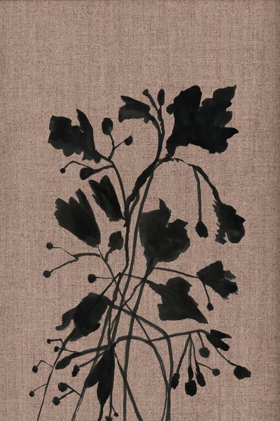 Černé botanické siluety od cartissi