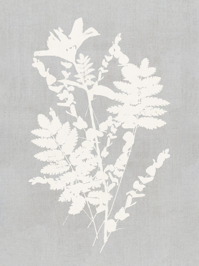 Studie botanické siluety od cartissi