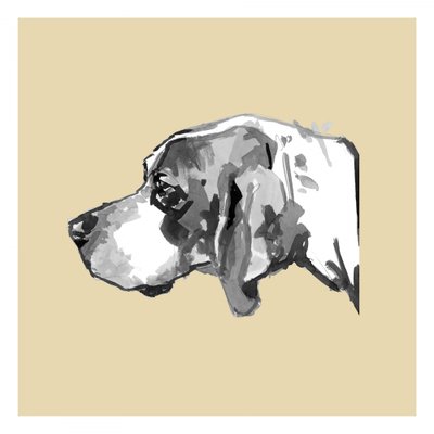 Elegantní profil psa od cartissi