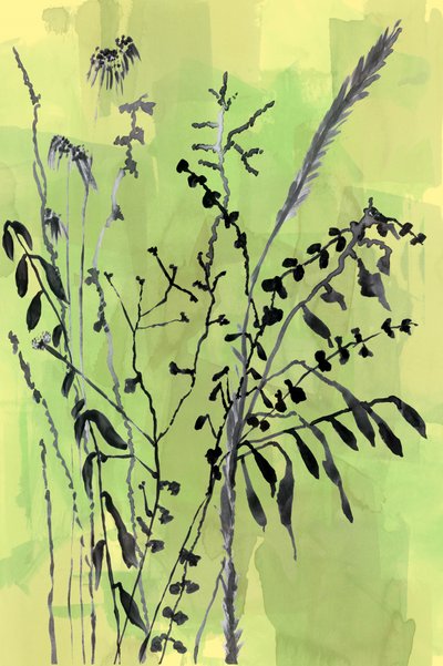 Zelené botanické siluety od cartissi