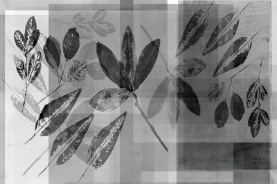Černobílé botanické vrstvy od cartissi