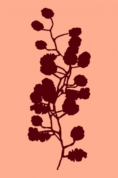 Botanická silueta broskve od cartissi