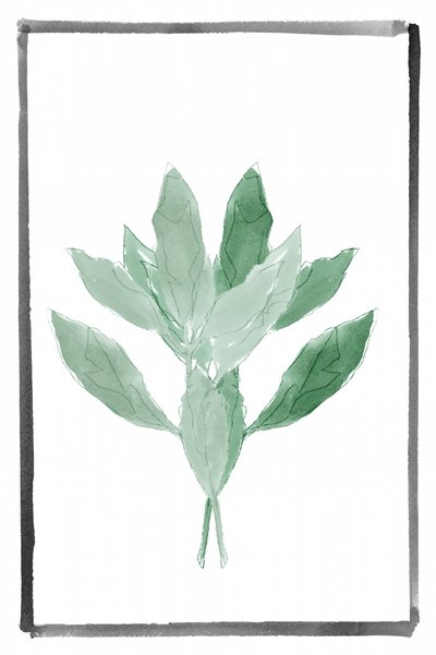 Jemná zelená botanická od cartissi