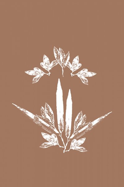 Stylizované botanické listy od cartissi