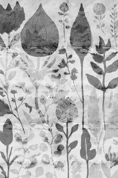Botanická zahrada s rozmanitou vegetací od cartissi