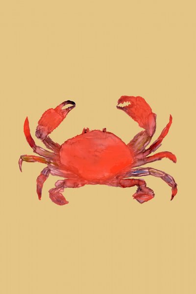 Zářivě červený krab od cartissi
