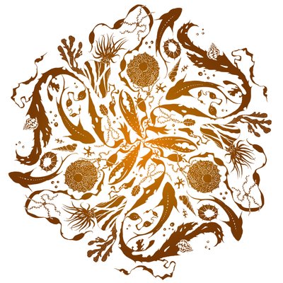Mare marginis, 2018 (sítotisk) od julia McKenzie