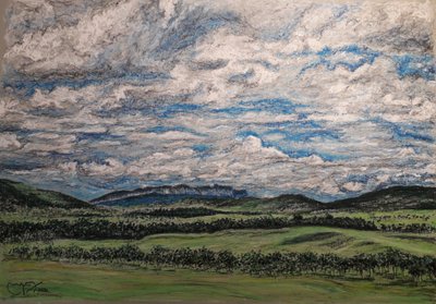 VELKÁ SAVANA VENEZUELA od miguelmendez_art.ve