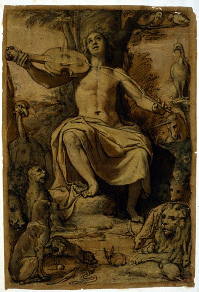 Orfeus okouzlující zvířata hudbou houslí. Kresba Federica Zuccariho (1542 - 1609). od or Zuccaro Federico Zuccari