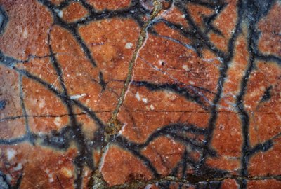 Mramorová podlaha, detail, Hadriánova vila, 2. století našeho letopočtu, Tivoli, Lazio, Itálie (foto) od Unbekannt Unbekannt