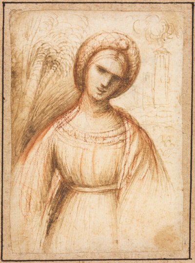 Dáma v krajině (recto) od possibly by Dosso Dossi