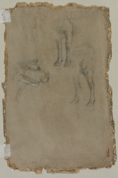 Studie býka (verze) od possibly by Johan Barthold Jongkind