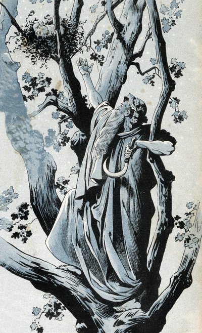 Galský druid, lezoucí do dubu, aby se svým hadem trhal jmelí, tam objeví malou dívku. ve „“ Francii, jeho příběh vyprávěný G. Montorgueilem, vyobrazený Jobem““ 1896. Soukromá sbírka. od pseudonym for Onfray de Breville Jacques Job