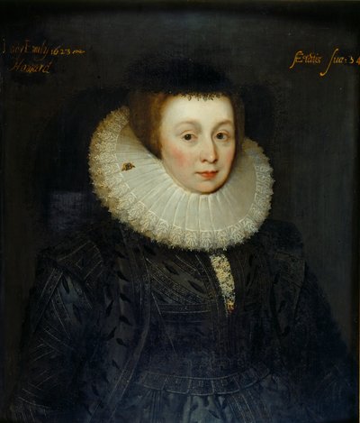 Portrét lady Emily Howardové, počátek 17. století od the Younger School of Marcus Gheeraerts