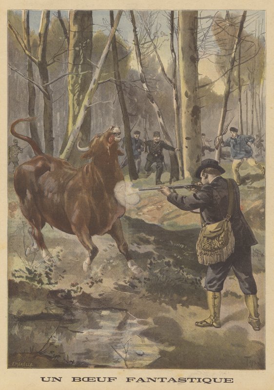 Zastřelení uprchlého býka od French School