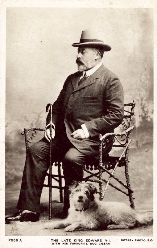 Zesnulý král Edward VII., s tímto oblíbeným psem Caesarem (č/b foto) od (after) English photographer