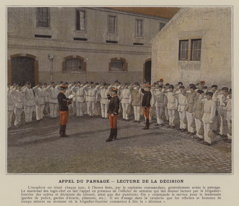 Call of the Pansage, čtení rozhodnutí (barevné foto) od (after) French Photographer