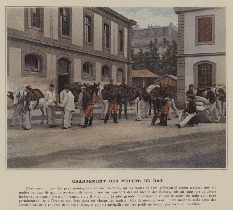 Načítání netopýřích mulů (barevná fotografie) od (after) French Photographer
