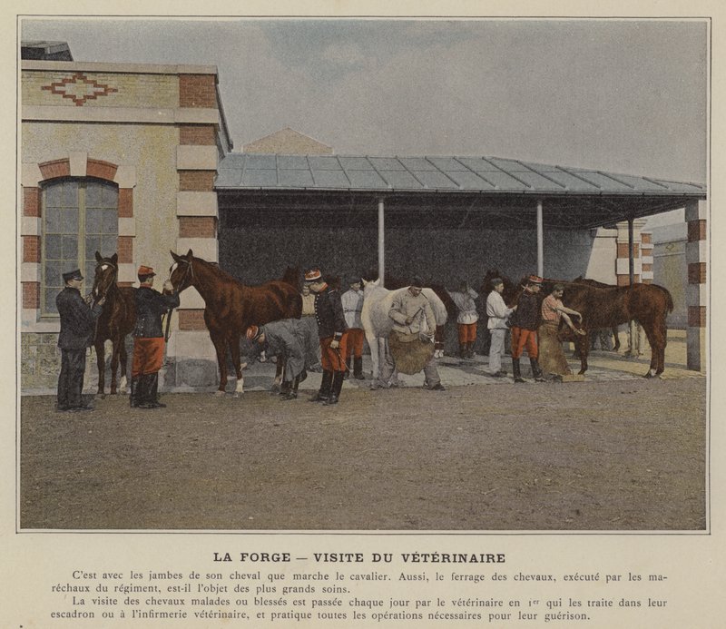 La Forge, Návštěva veterináře (barevné foto) od (after) French Photographer