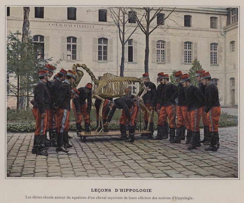 Lekce hipologie (barevné foto) od (after) French Photographer