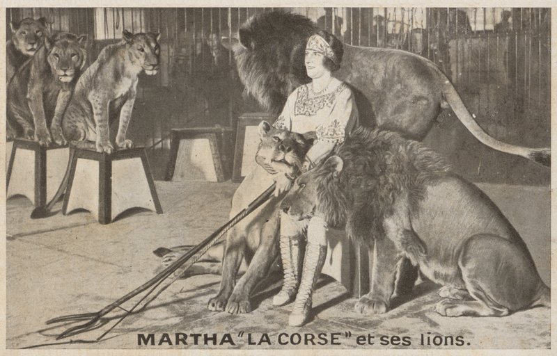 Martha "La Corse" a její lvi (černobílá fotografie) od (after) French Photographer