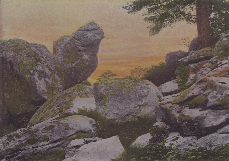 Rochers du mont Ussy (barevné foto) od (after) French Photographer