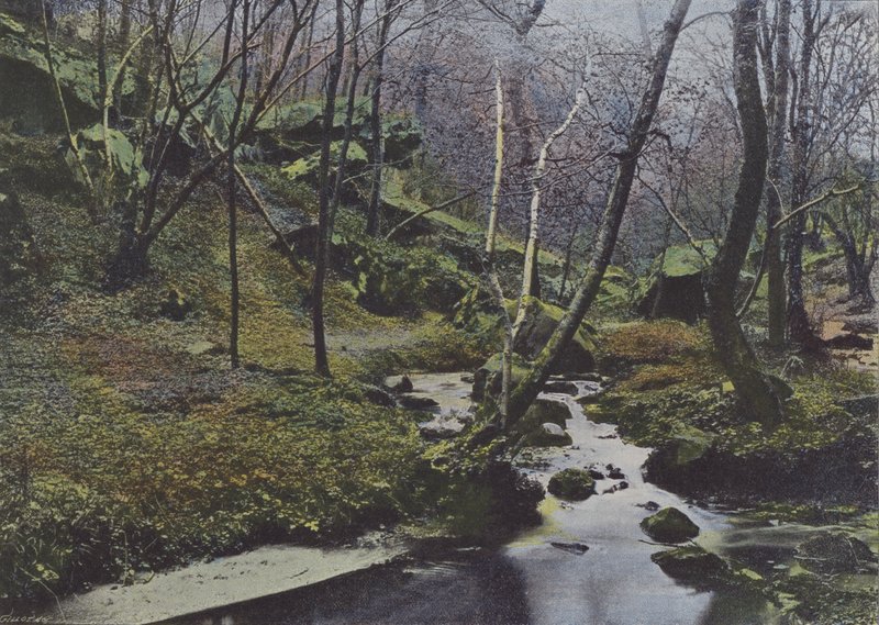 Vaux de Cernay, Les Cascades (barevné foto) od (after) French Photographer
