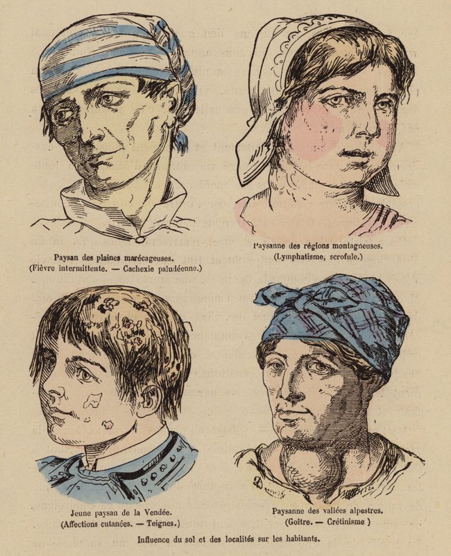 Vliv Slunce a zeměpisné polohy na člověka (kolorovaná rytina) od (after) French School