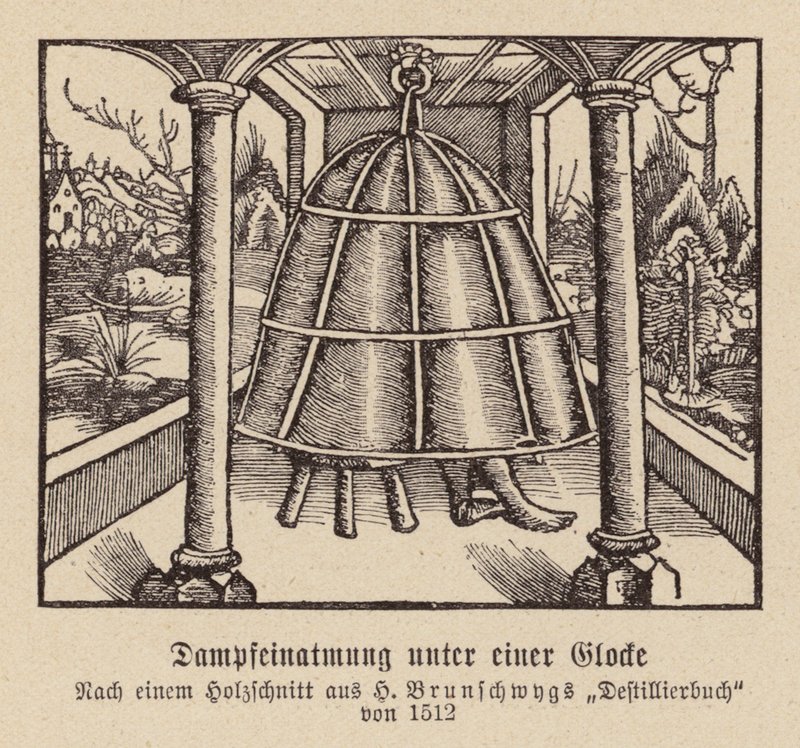 Inhalace páry pod zvonem (dřevoryt) od (after) German School