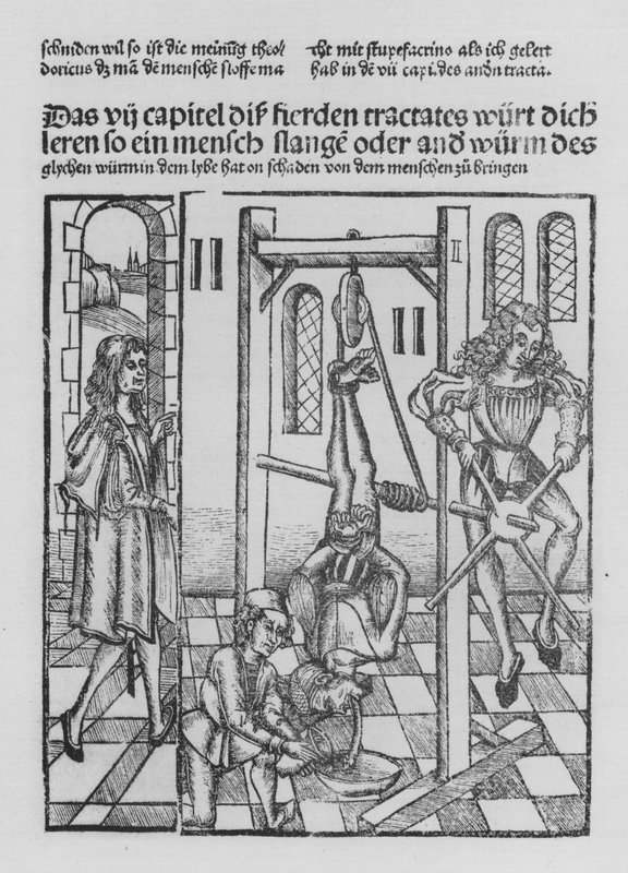 Kniha Cirurgia od Hieronyma Brunschwiga (litho) od (after) German School