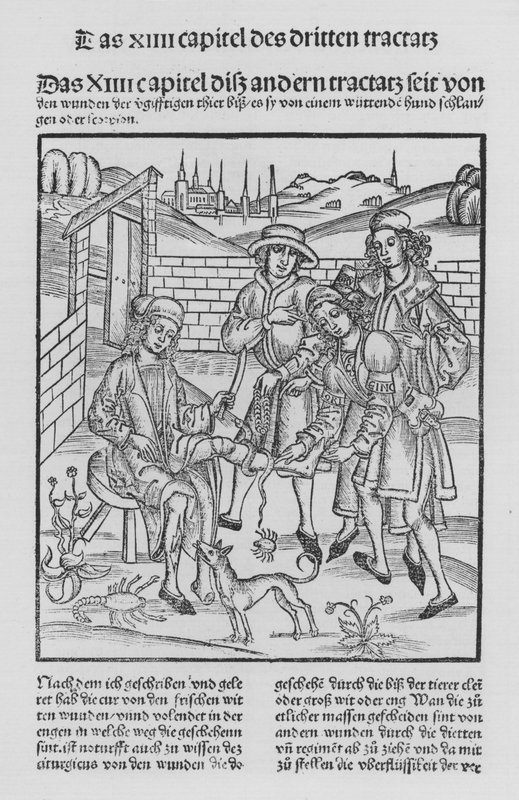 Kniha Cirurgia od Hieronyma Brunschwiga (litho) od (after) German School