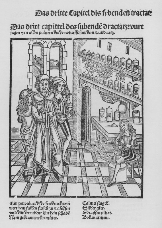Kniha Cirurgia od Hieronyma Brunschwiga (litho) od (after) German School
