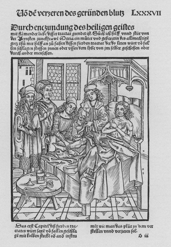 Kniha Cirurgia od Hieronyma Brunschwiga (litho) od (after) German School
