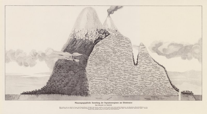Vegetační oblasti Chimboraza, Ekvádor (litografie) od (after) German School