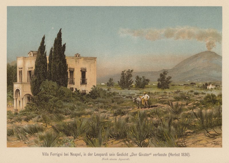 Villa Ferrigni u Neapole (barevná litografie) od (after) German School