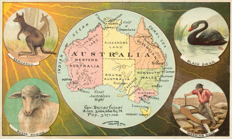 Austrálie od American School