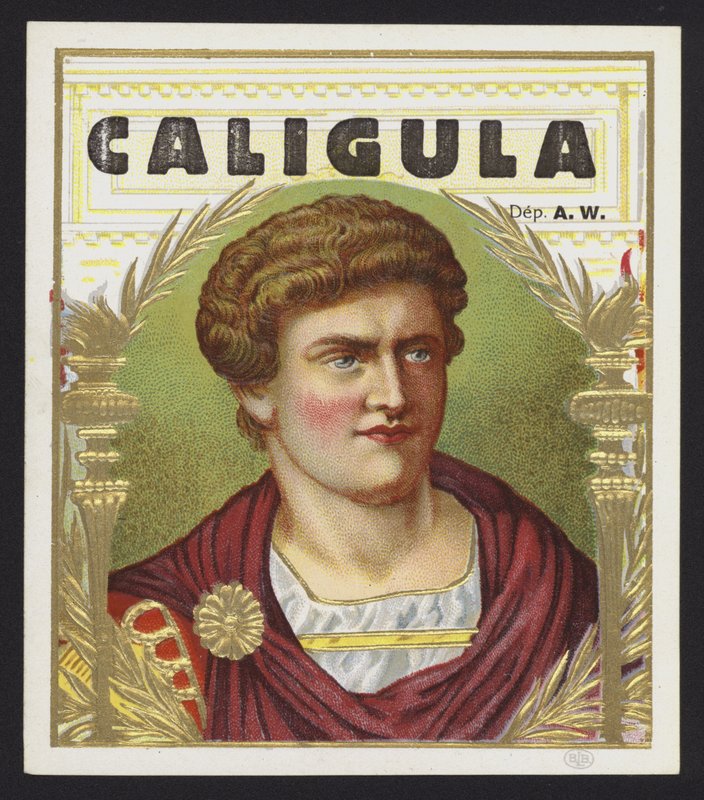 Caligula od American School